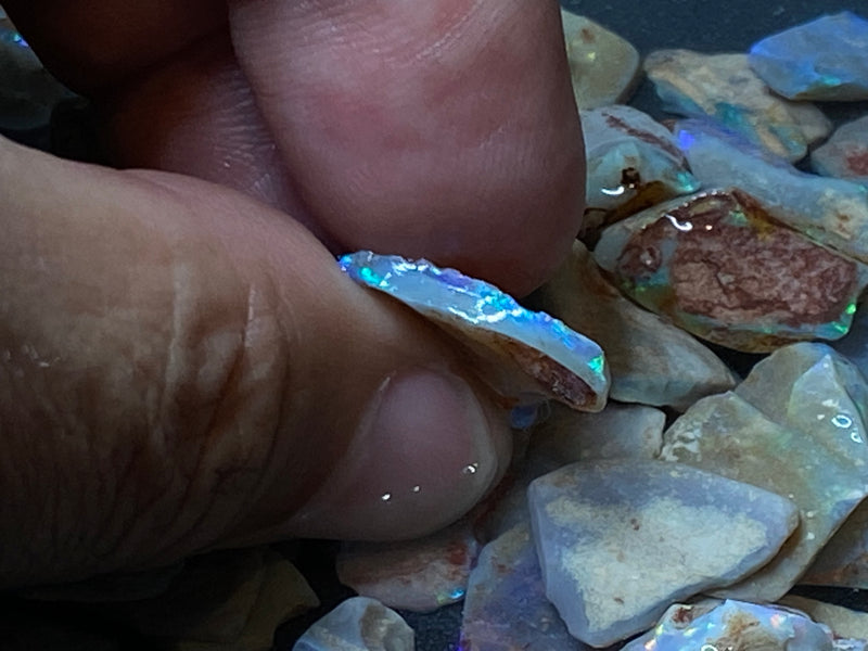 1.9 盎司天然澳大利亚蛋白石黑壳包裹，原石、明亮的全光谱颜色