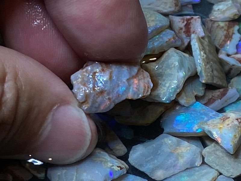 1.9 oz Natural Australian Opal Dark Shell Parcel, In The Rough, Bright Full Spectrum Of Colours