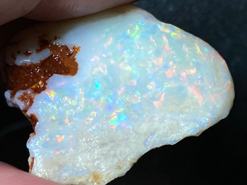 44 Cts Natural Australian Opal Shell, In The Rough, Full Rainbow Of Colours