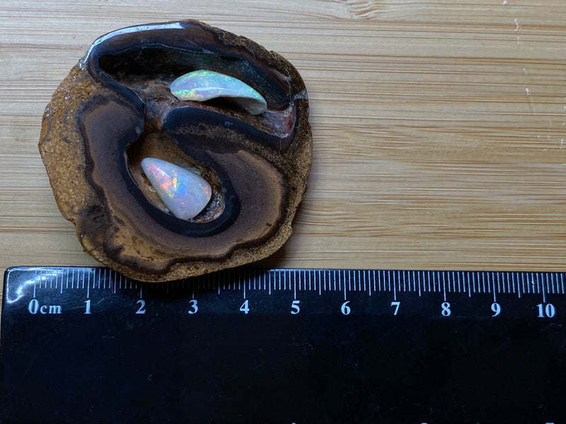 190 Cts Natural Australian Opal Art Piece, Yowah Nut with Imbedded Polished Opal Shells