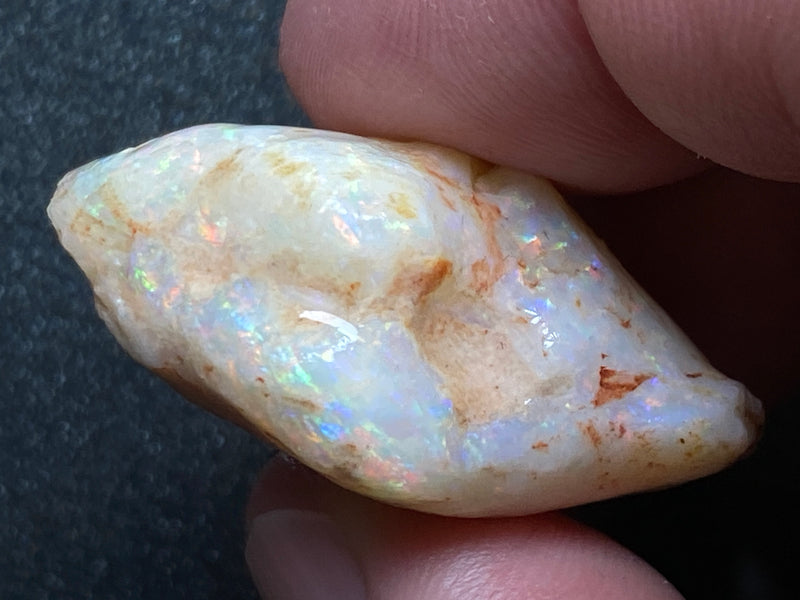 56 Cts Natural Australian Opal AAA Shell, In The Rough, Coober Pedy, Brilliant Crystal Colours