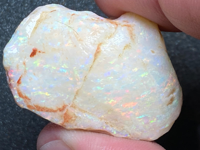 56 Cts Natural Australian Opal AAA Shell, In The Rough, Coober Pedy, Brilliant Crystal Colours