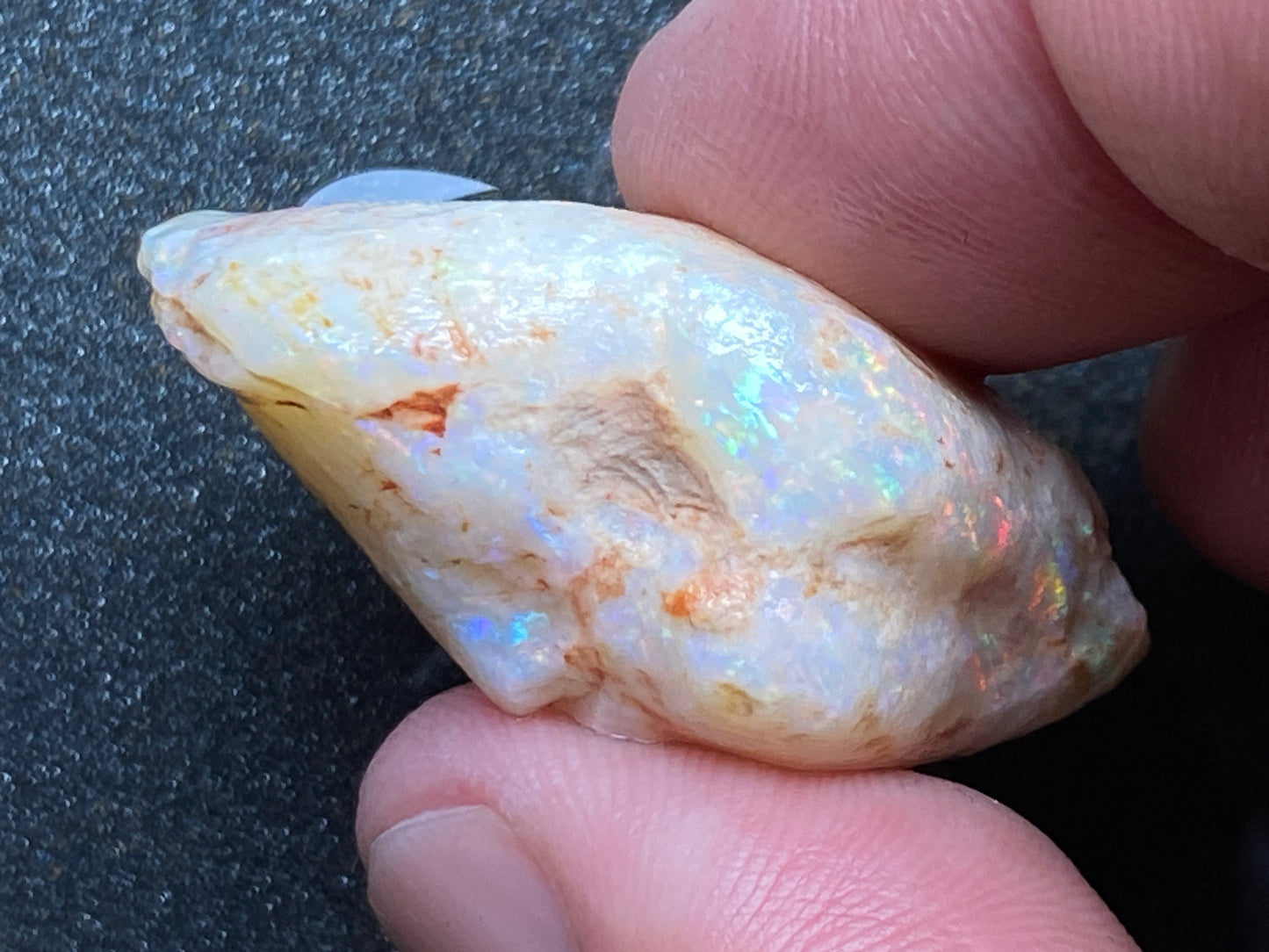 56 Cts Natural Australian Opal AAA Shell, In The Rough, Coober Pedy, Brilliant Crystal Colours