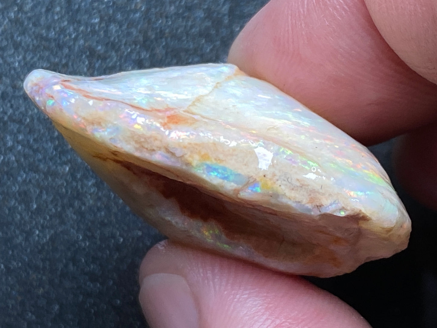 56 Cts Natural Australian Opal AAA Shell, In The Rough, Coober Pedy, Brilliant Crystal Colours