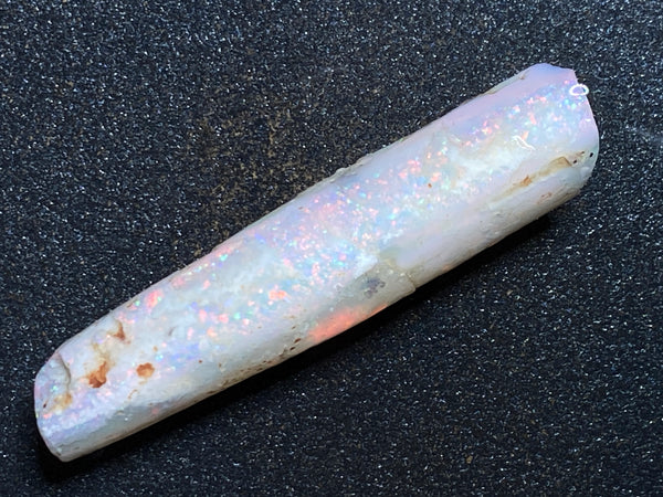 41Cts Australian Natural Opal Belemnite, In The Rough, Simply Spectacular