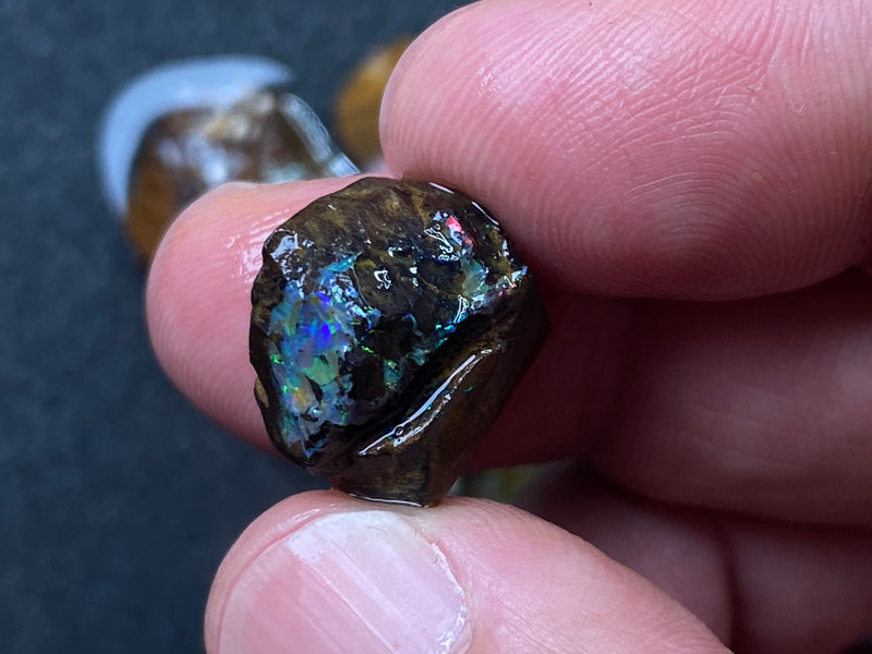 1oz Natural Australian Opal Parcel, 8 Stones, Boulder In The Rough, Great Colours