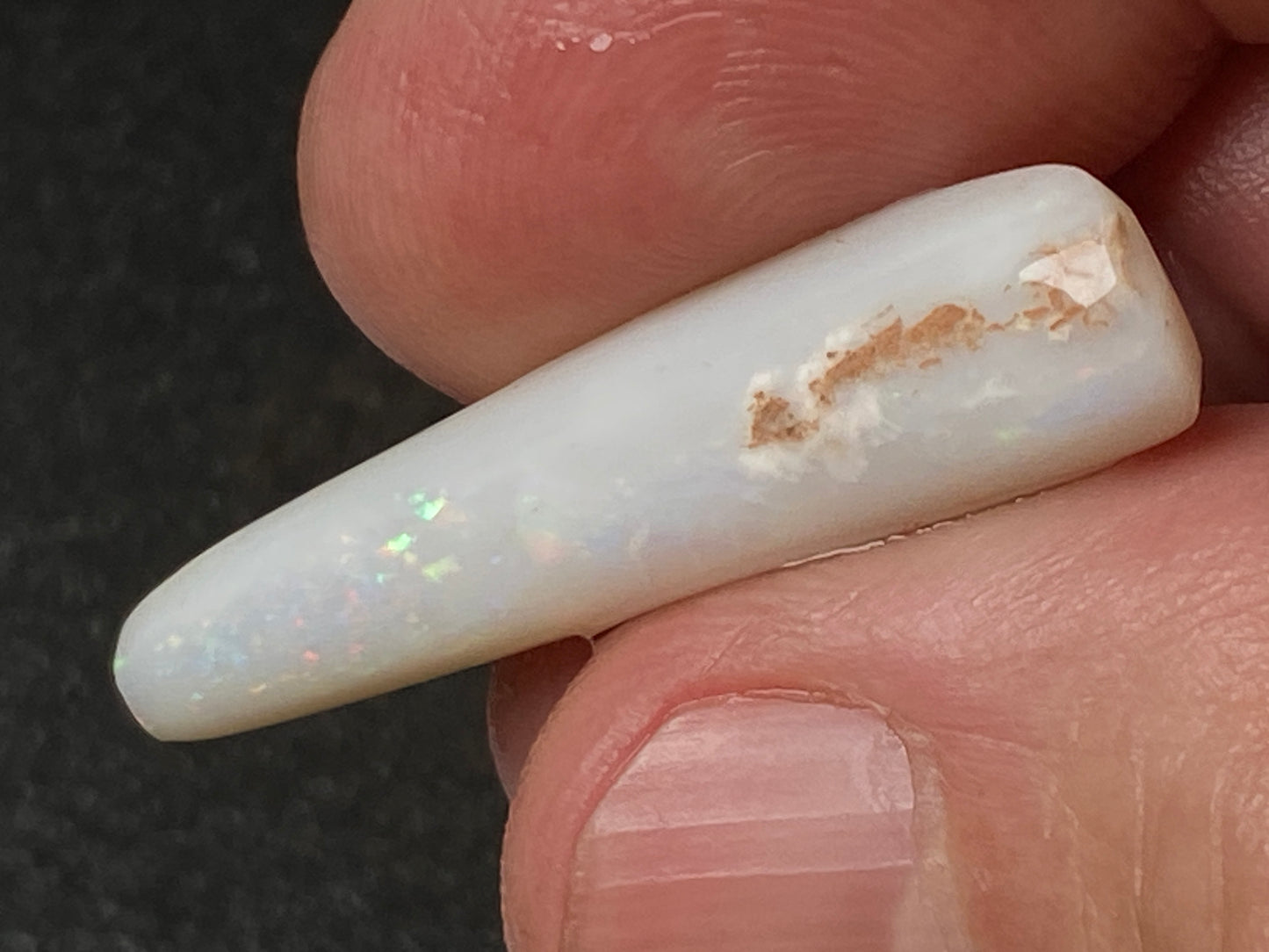 10 Carats Natural Australian Opal Belemnite, In The Rough, Reds And Greens