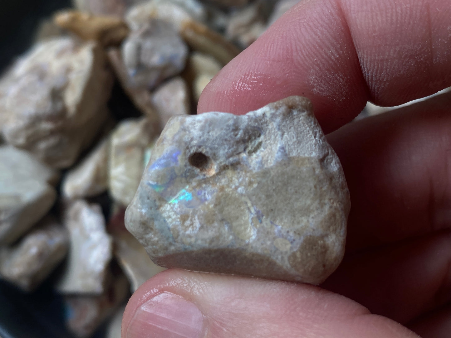 16oz Andamooka Matrix Opal Parcel, In The Rough, Untreated