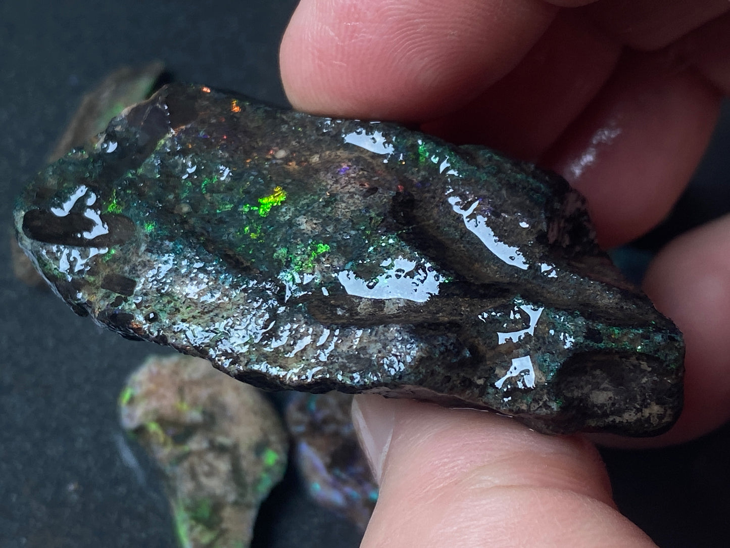 2oz Andamooka Matrix Opal Parcel, In The Rough, Test Treated, Going Black With All Colours.