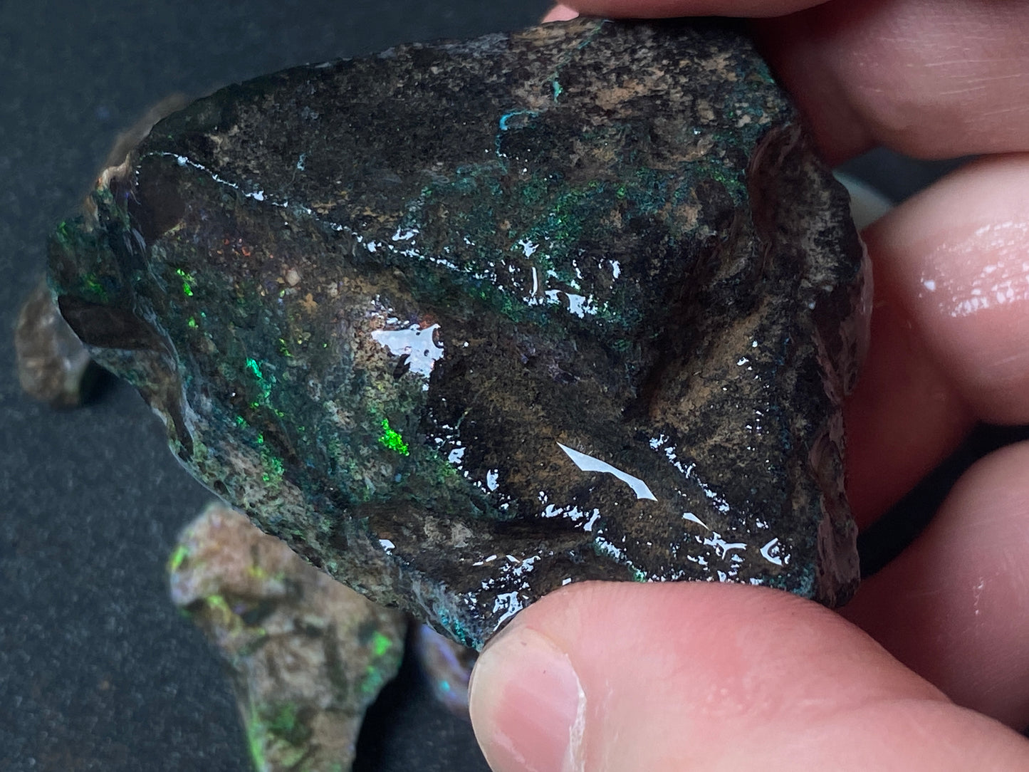 2oz Andamooka Matrix Opal Parcel, In The Rough, Test Treated, Going Black With All Colours.