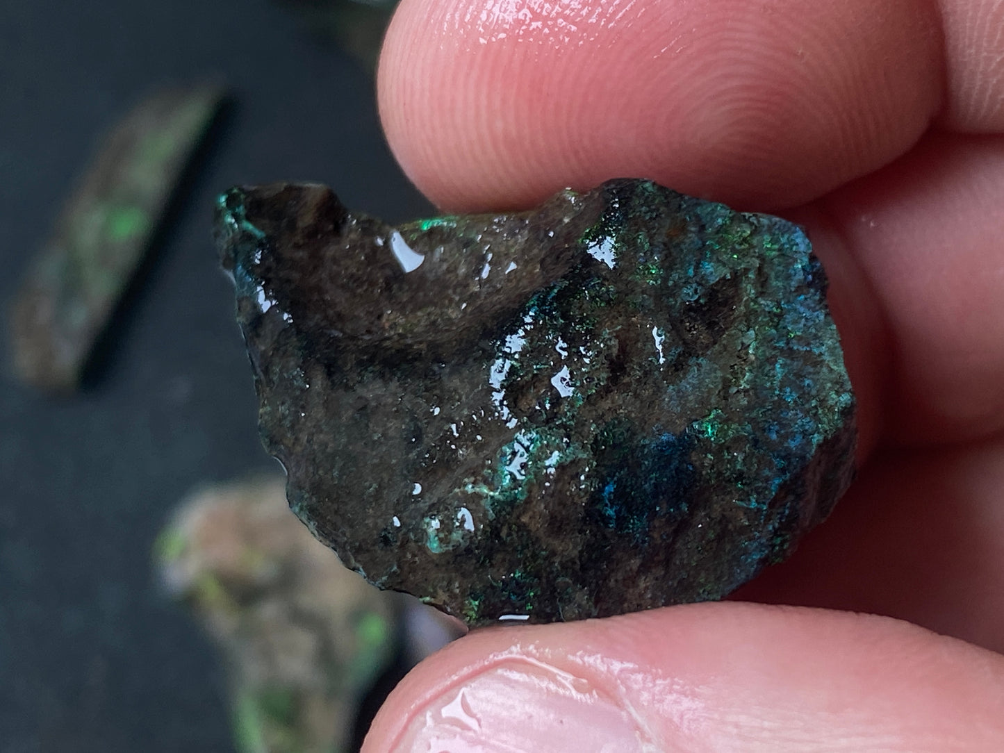 2oz Andamooka Matrix Opal Parcel, In The Rough, Test Treated, Going Black With All Colours.