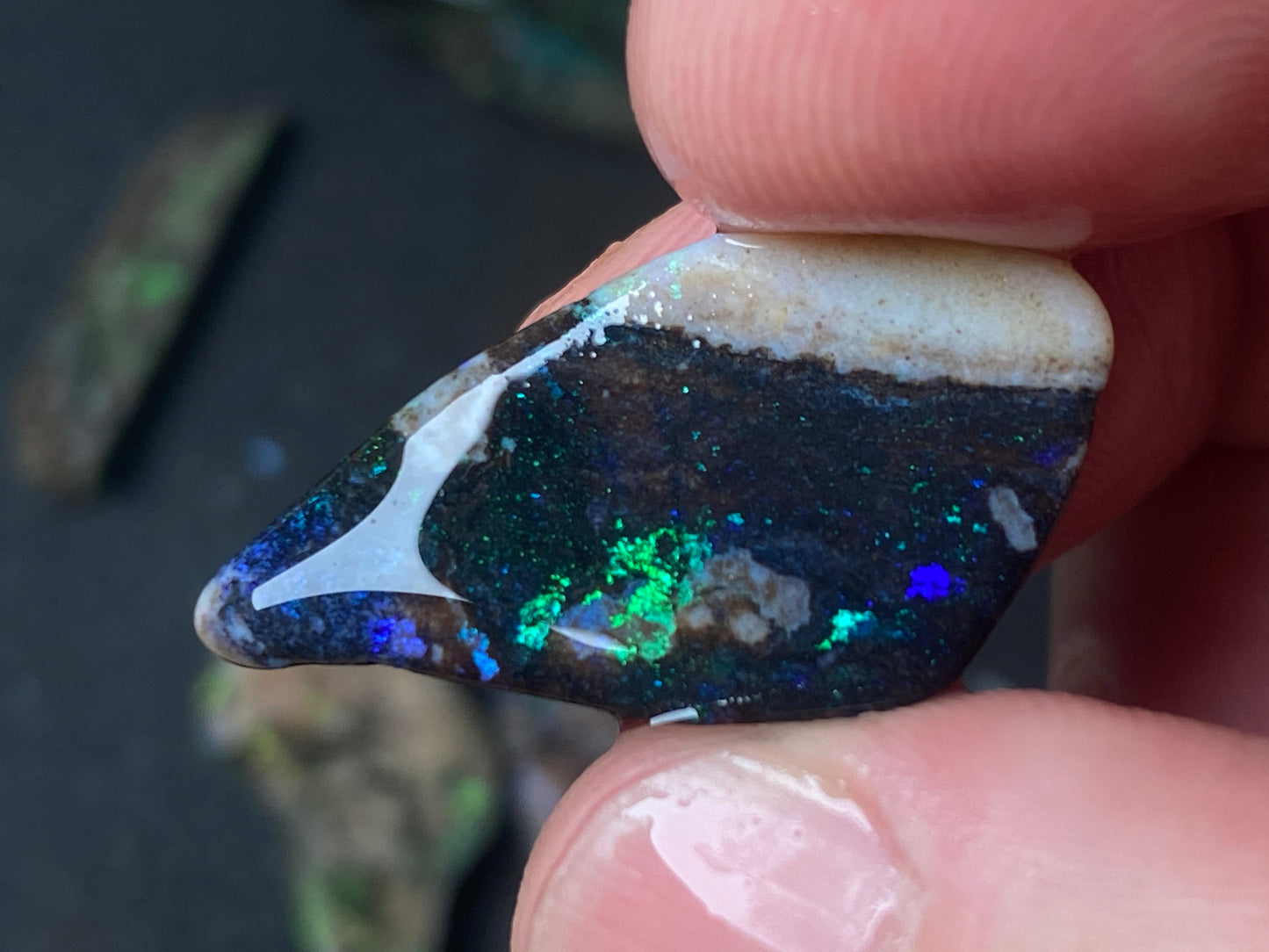 2oz Andamooka Matrix Opal Parcel, In The Rough, Test Treated, Going Black With All Colours.