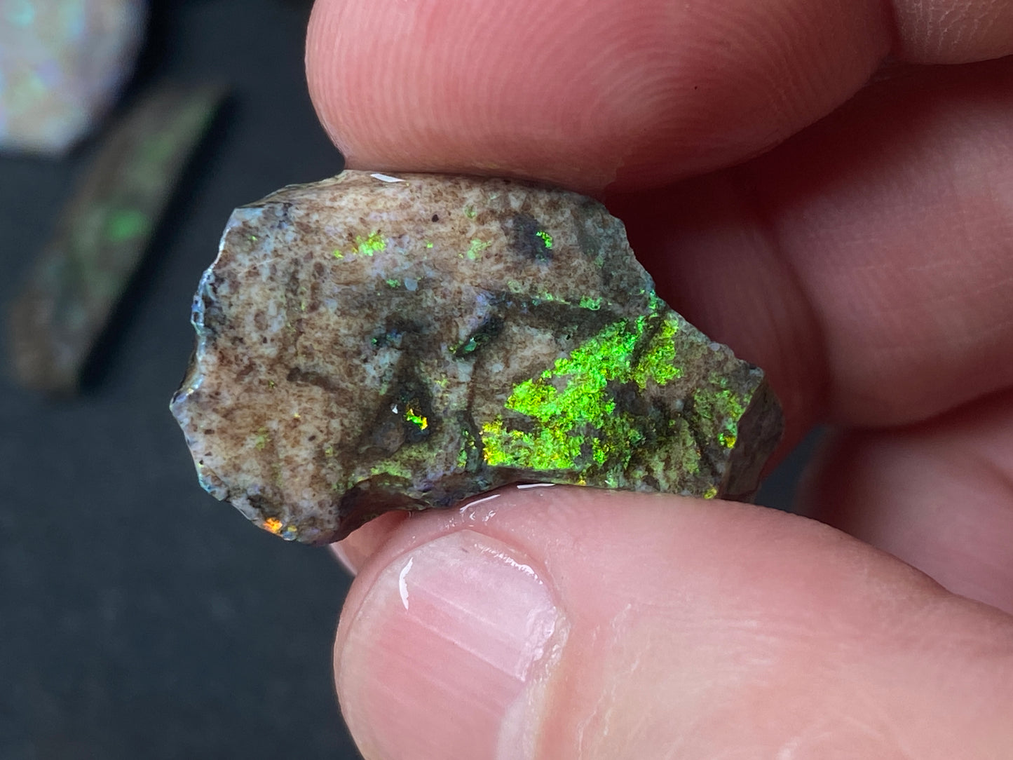 2oz Andamooka Matrix Opal Parcel, In The Rough, Test Treated, Going Black With All Colours.