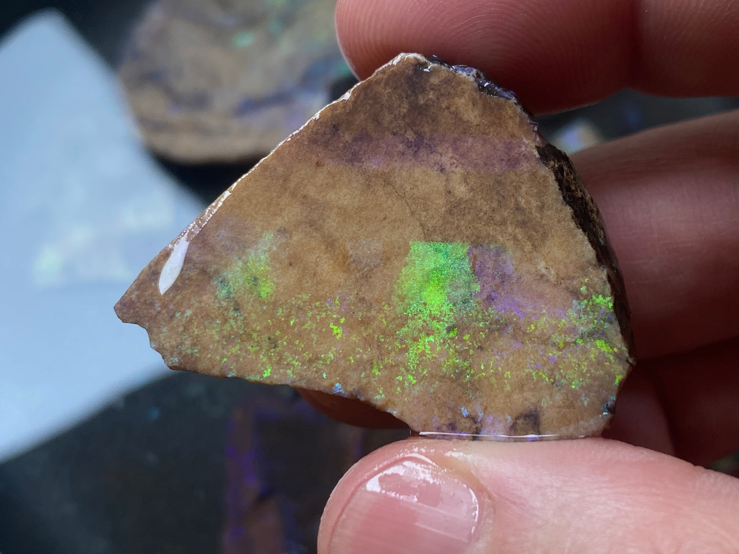 2.7oz Andamooka Matrix Opal Parcel, In The Rough, Test Treated, Beautiful Colours