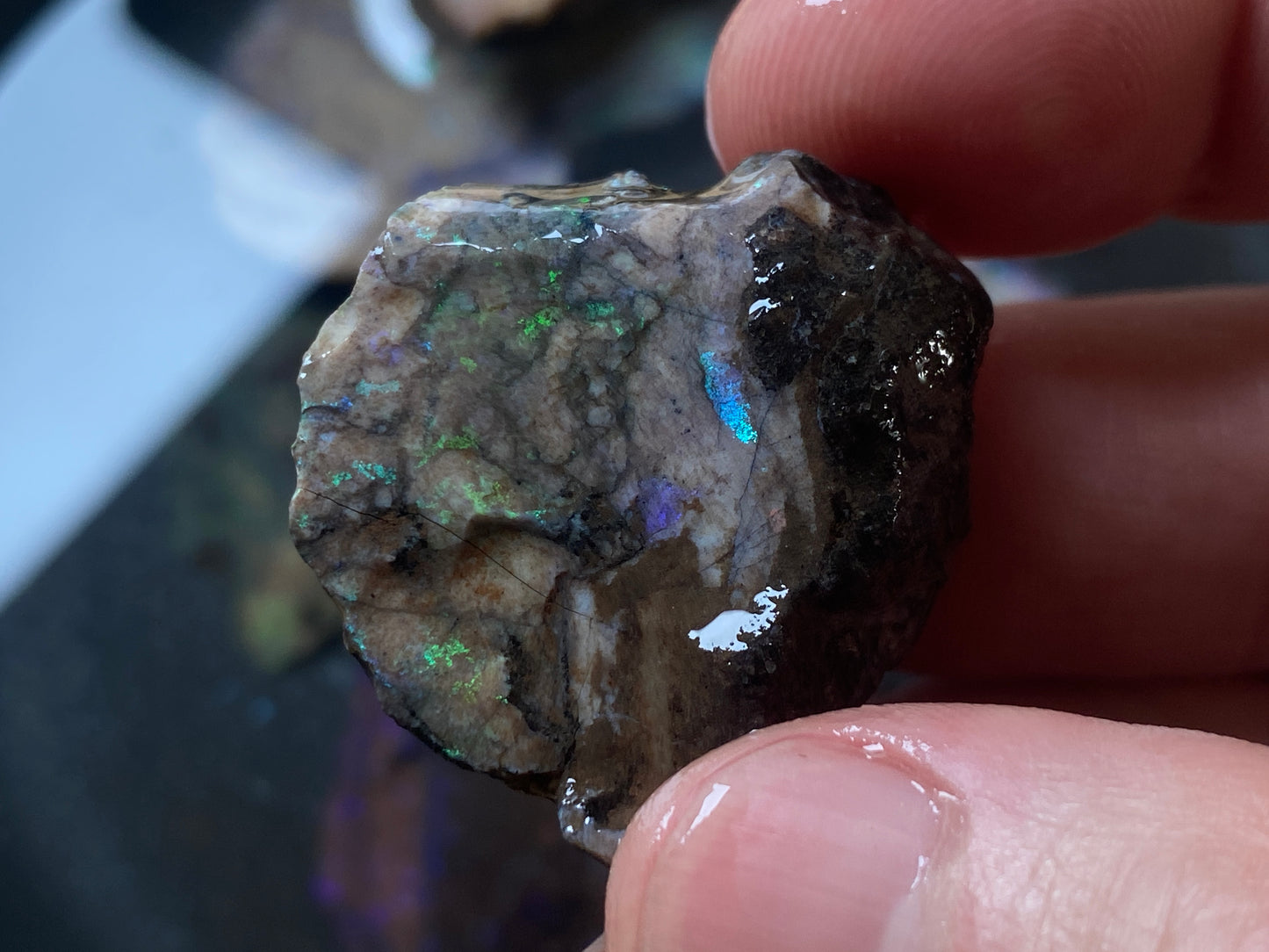 2.7oz Andamooka Matrix Opal Parcel, In The Rough, Test Treated, Beautiful Colours