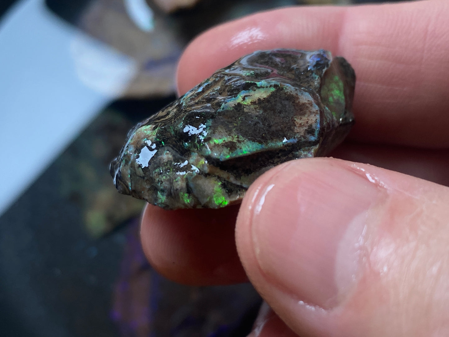 2.7oz Andamooka Matrix Opal Parcel, In The Rough, Test Treated, Beautiful Colours