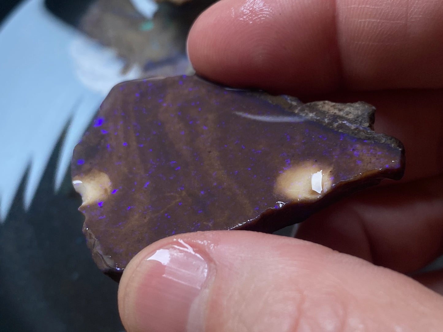 2.7oz Andamooka Matrix Opal Parcel, In The Rough, Test Treated, Beautiful Colours