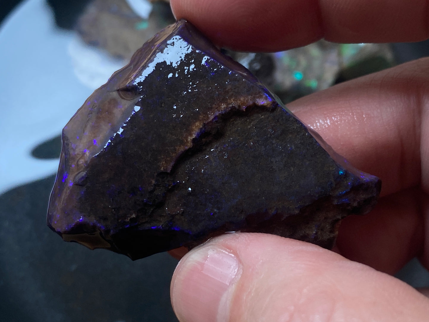 2.7oz Andamooka Matrix Opal Parcel, In The Rough, Test Treated, Beautiful Colours