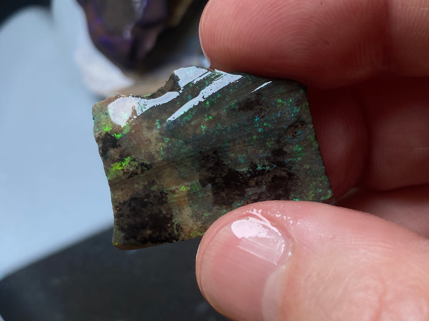 2.7oz Andamooka Matrix Opal Parcel, In The Rough, Test Treated, Beautiful Colours