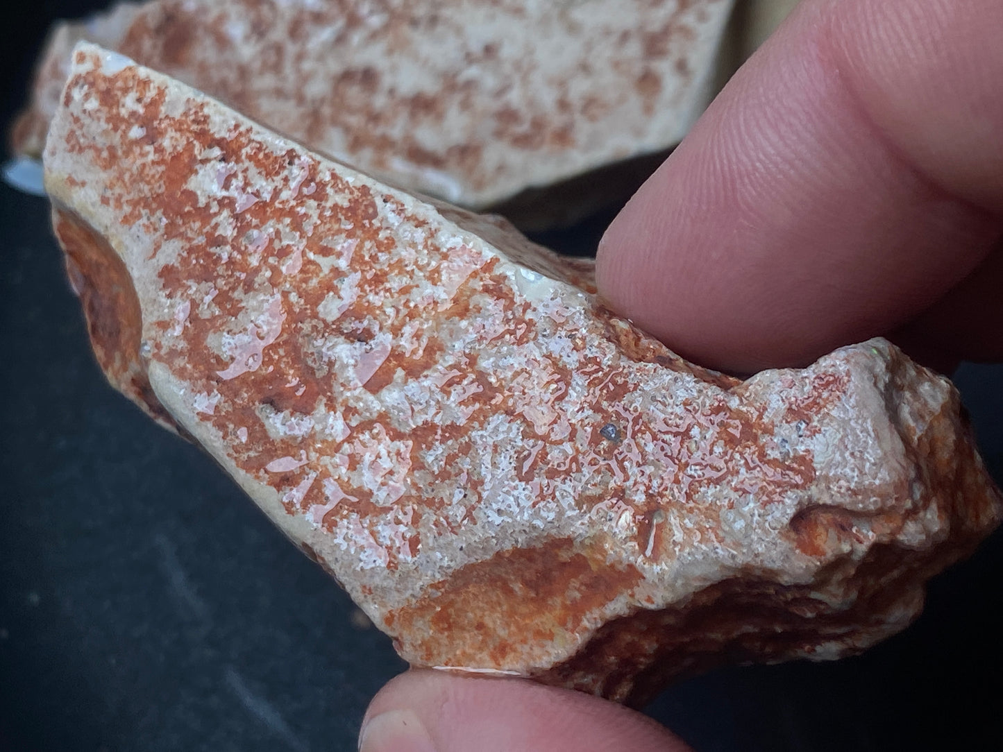 3.5oz Andamooka Matrix Opal Parcel, 2 Stones In The Rough, Showing Good Colours.