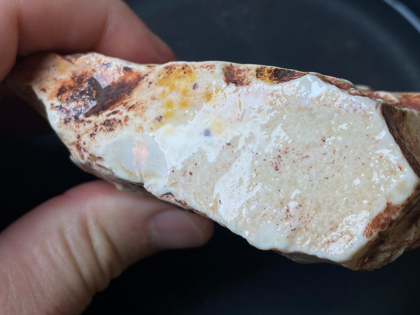 7.5oz Andamooka Matrix Opal, In The Rough, Lots Of Reds