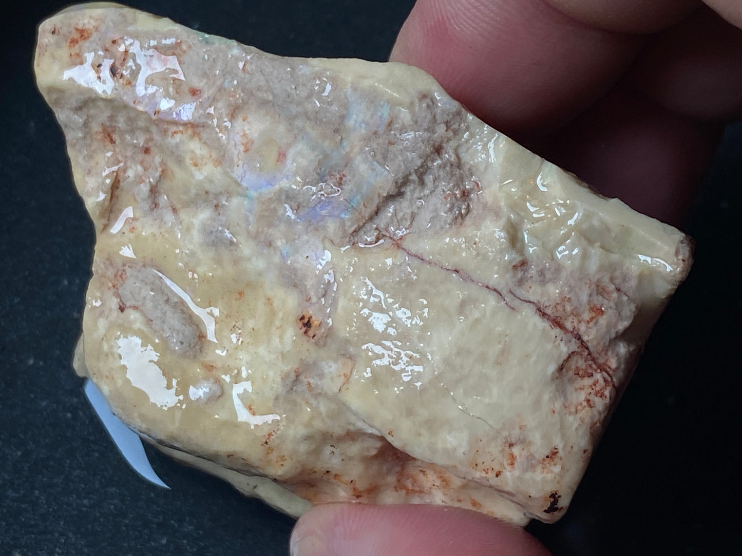 2.9oz, Andamooka Matrix Opal, In The Rough, Huge Stone With Amazing Colours