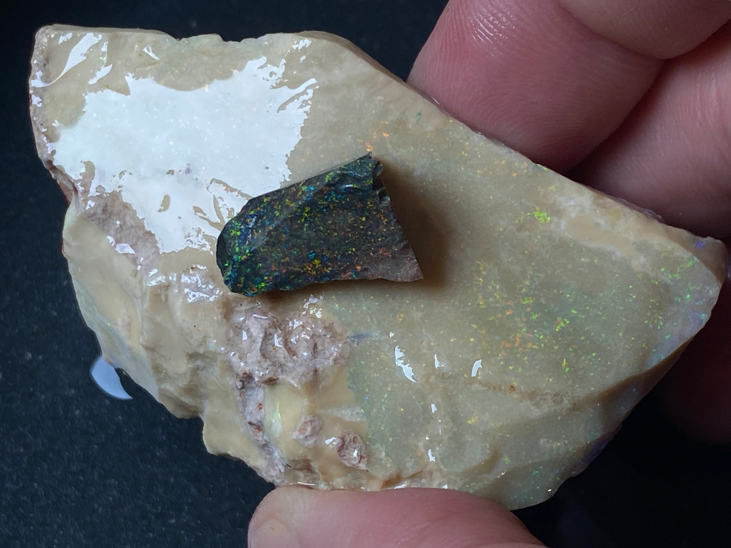 2.9oz, Andamooka Matrix Opal, In The Rough, Huge Stone With Amazing Colours