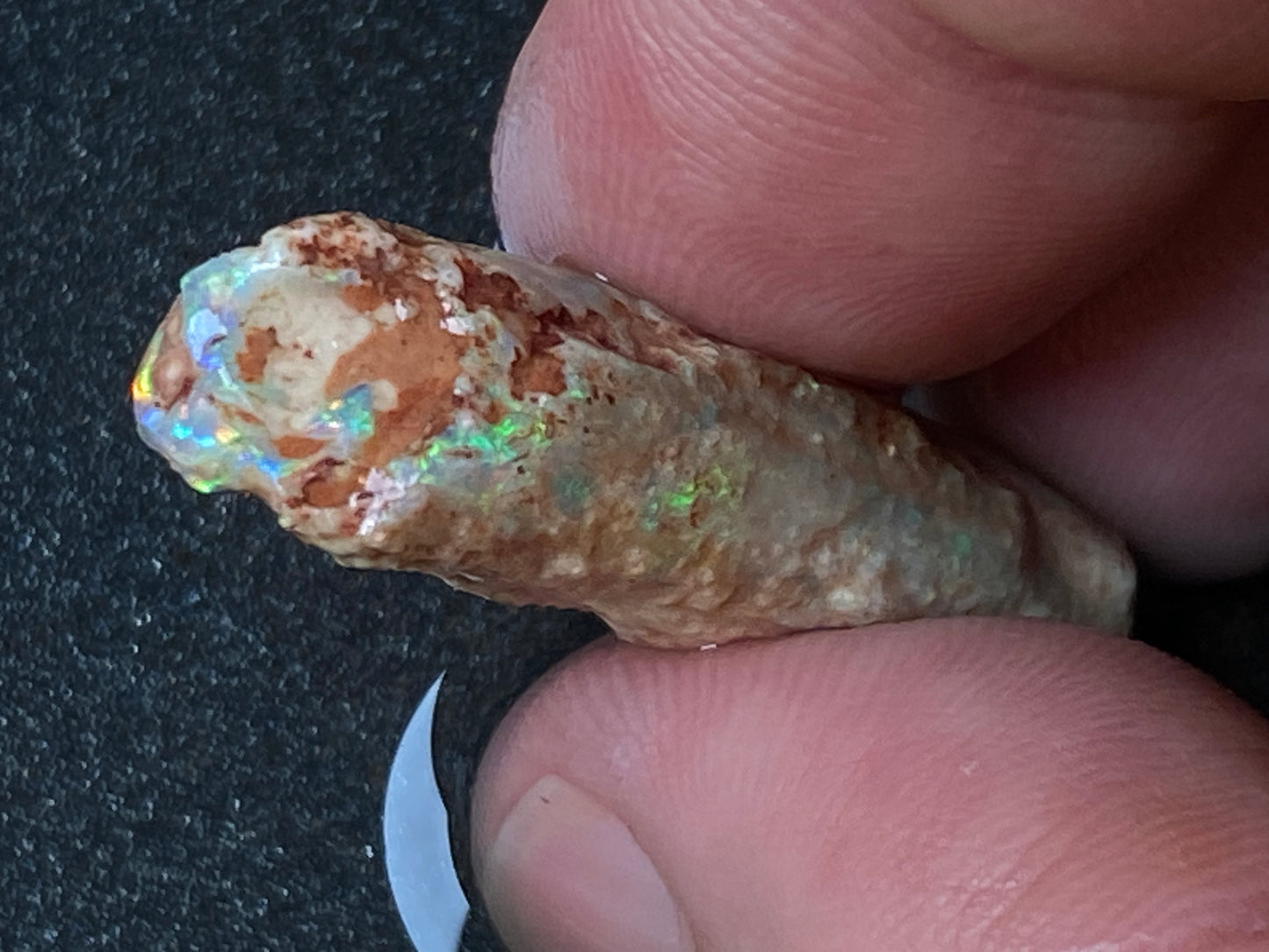 20 Carats, Natural Australian Opal, Belemnite In The Rough, AAA Gem With Amazing Crystal B5 Bright Crystal Colours