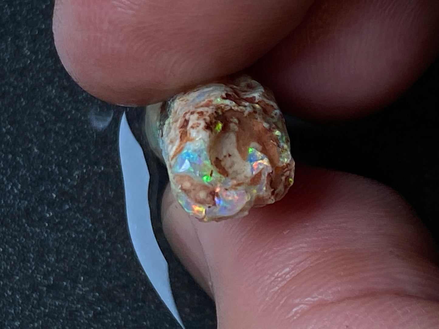 20 Carats, Natural Australian Opal, Belemnite In The Rough, AAA Gem With Amazing Crystal B5 Bright Crystal Colours