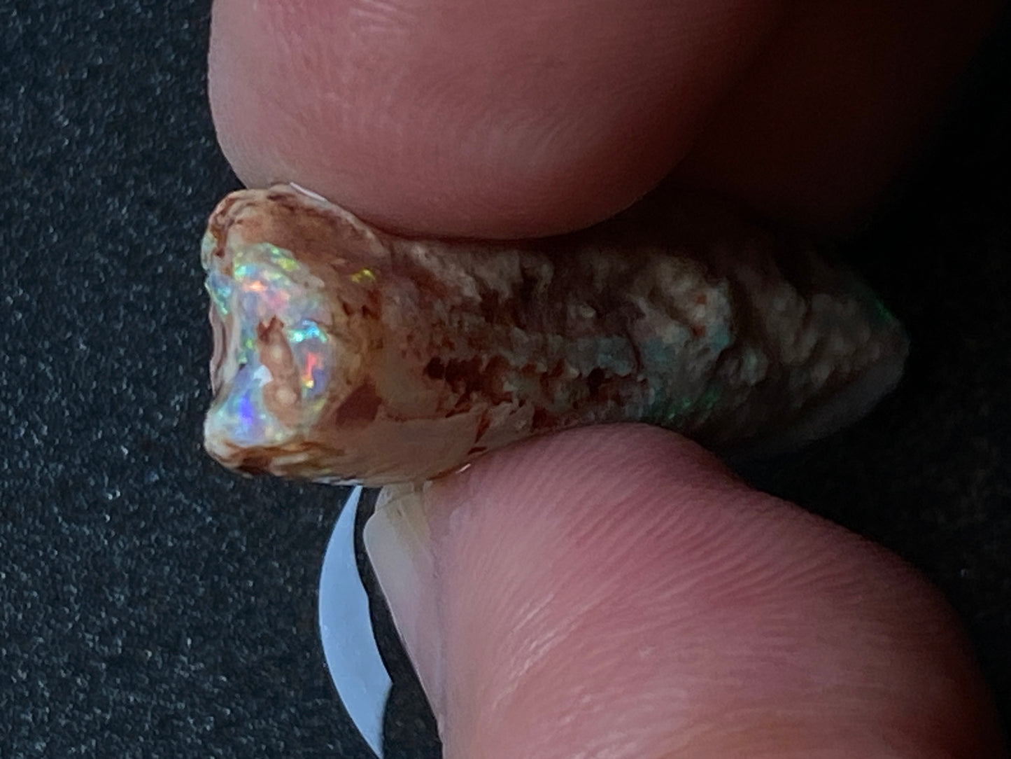 20 Carats, Natural Australian Opal, Belemnite In The Rough, AAA Gem With Amazing Crystal B5 Bright Crystal Colours