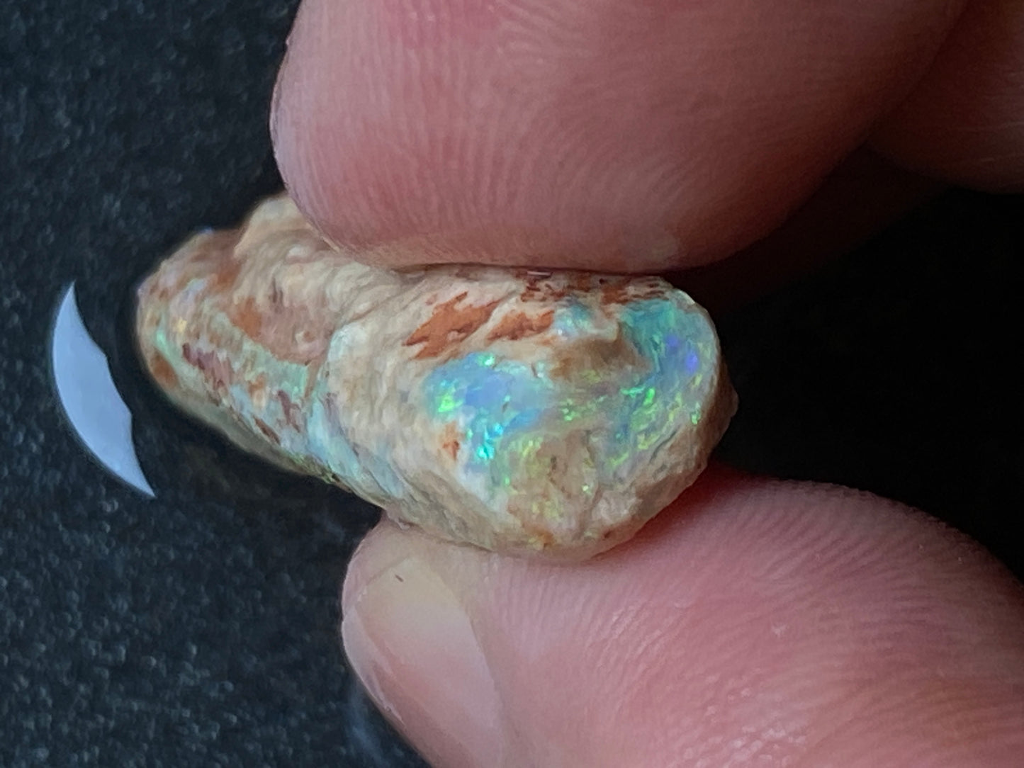 20 Carats, Natural Australian Opal, Belemnite In The Rough, AAA Gem With Amazing Crystal B5 Bright Crystal Colours