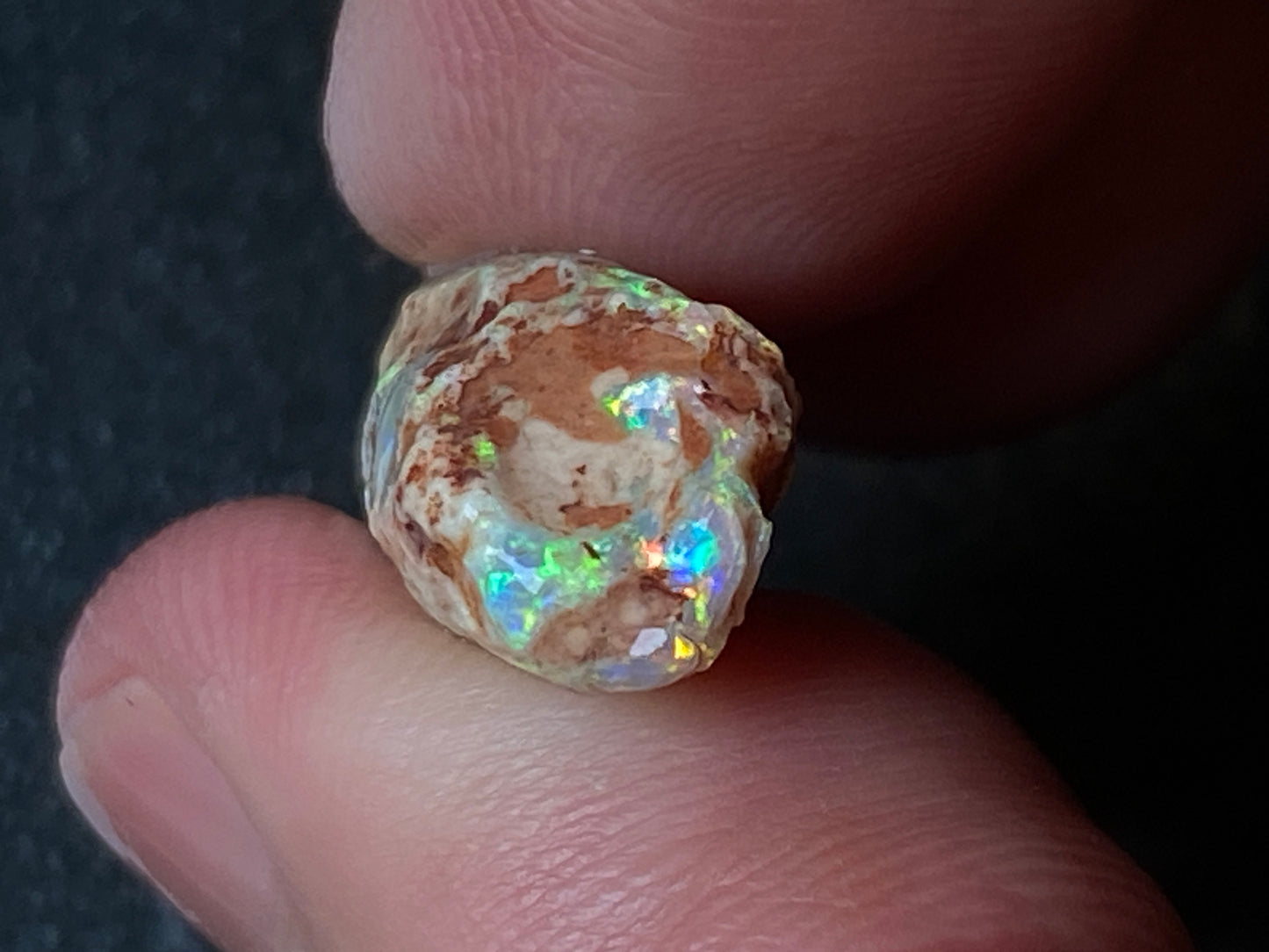 20 Carats, Natural Australian Opal, Belemnite In The Rough, AAA Gem With Amazing Crystal B5 Bright Crystal Colours