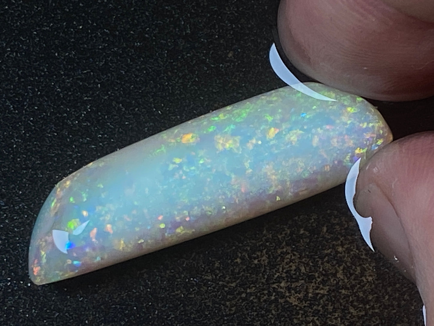 24 Carats, Natural Australian Opal,  Belemnite Pipe, Rub / Rough, Amazing Crystal Colours