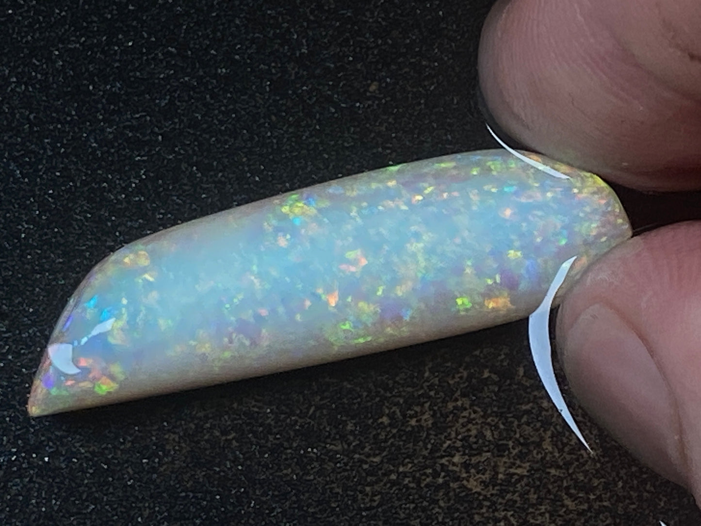 24 Carats, Natural Australian Opal,  Belemnite Pipe, Rub / Rough, Amazing Crystal Colours