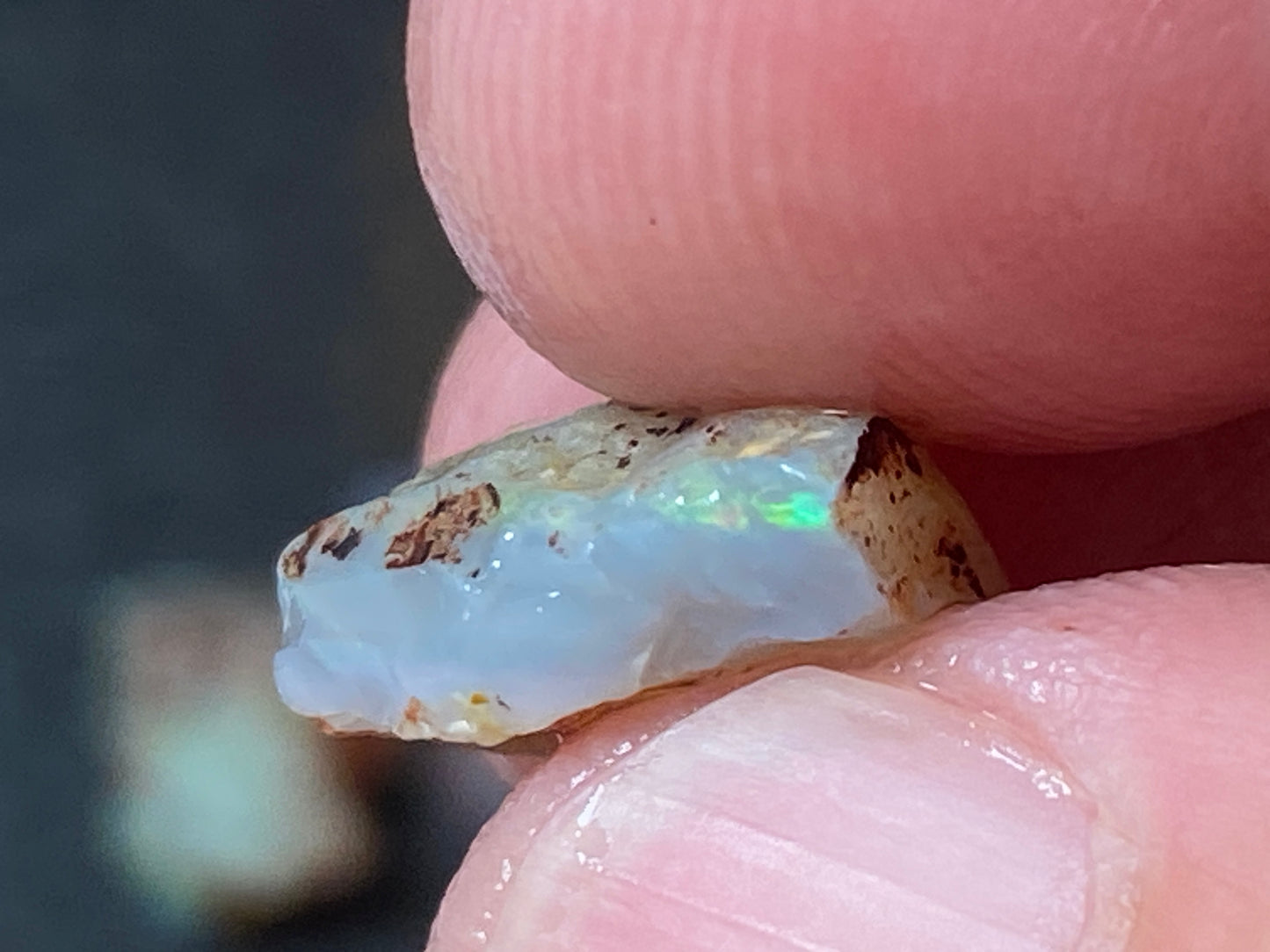 19 Cts Australian Opal Parcel, In The Rough, 6 Small Stones, Rare Lambina