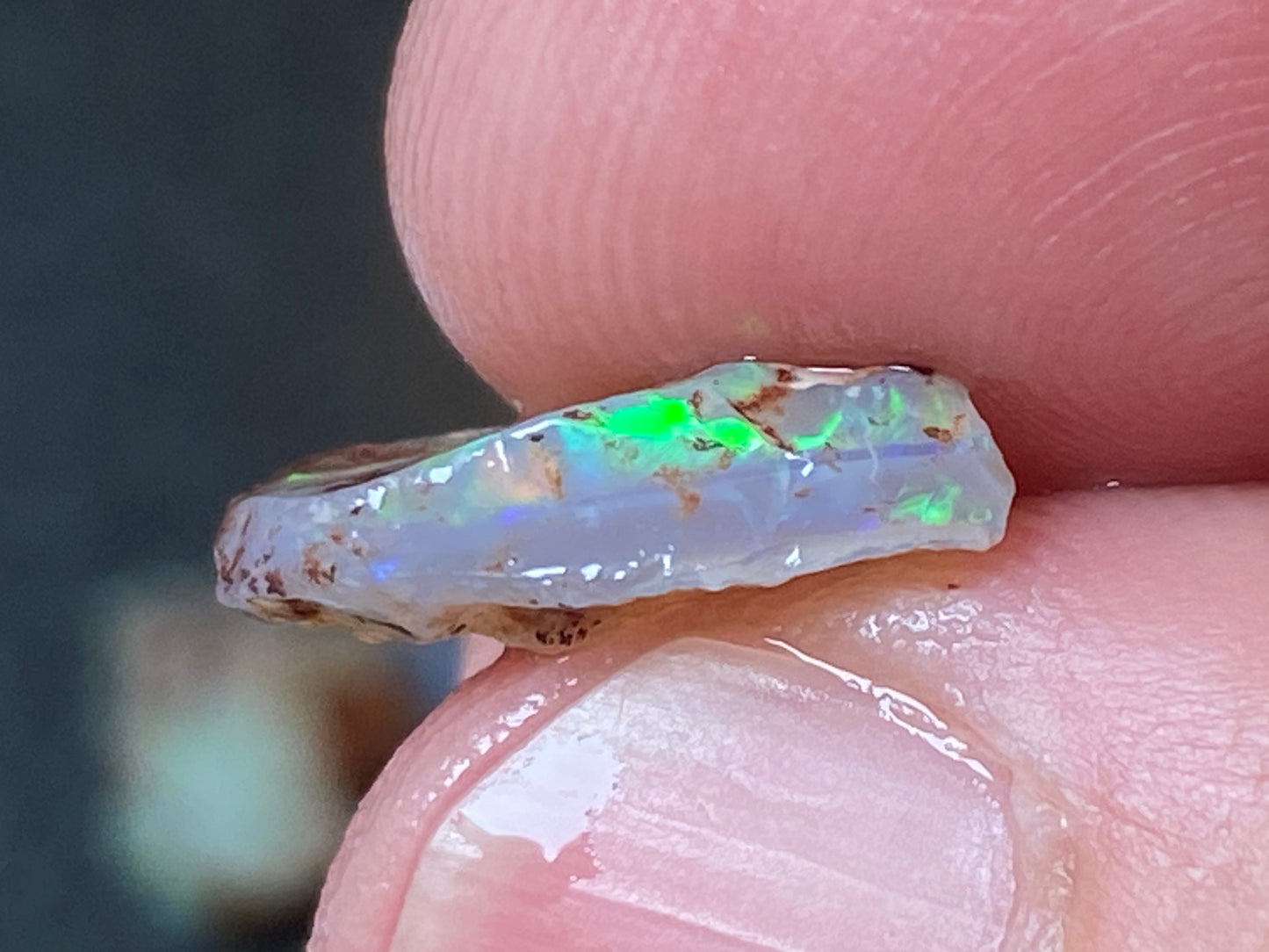 19 Cts Australian Opal Parcel, In The Rough, 6 Small Stones, Rare Lambina