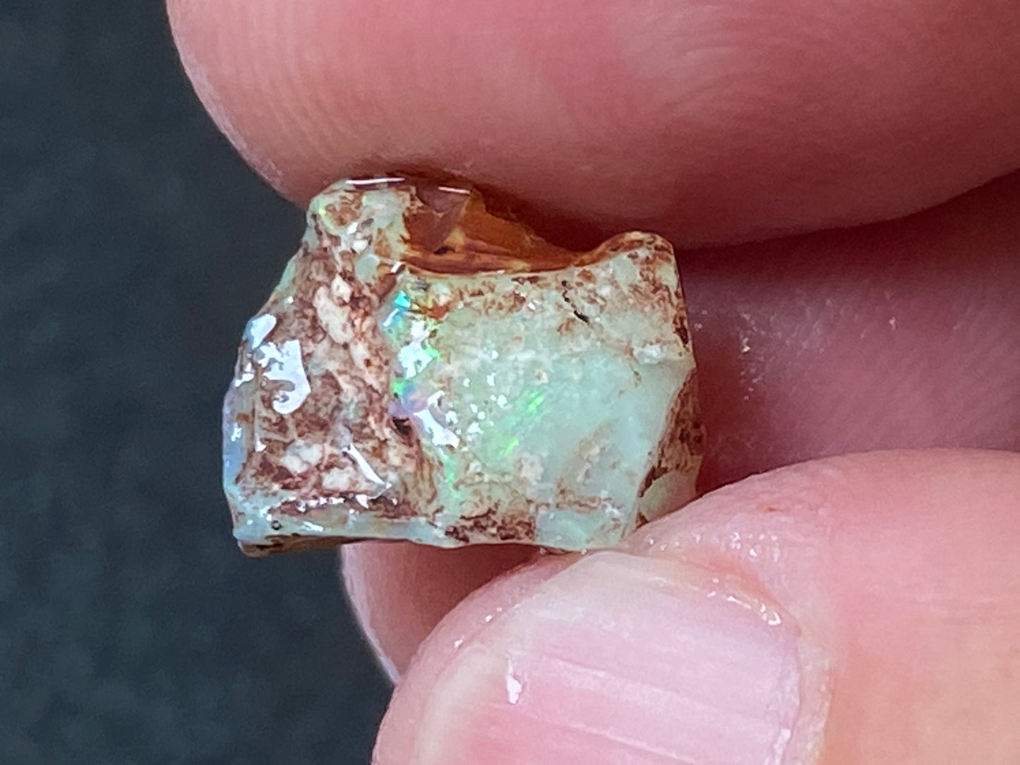 19 Cts Australian Opal Parcel, In The Rough, 6 Small Stones, Rare Lambina