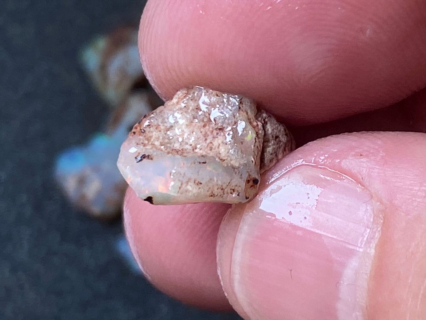 25 Cts Australian Opal Parcel, In The Rough, 9 Small Stones, Rare Lambina