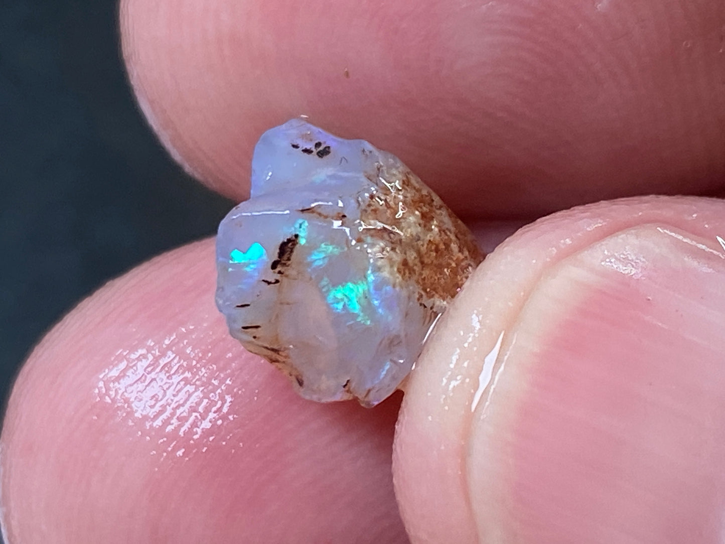 25 Cts Australian Opal Parcel, In The Rough, 9 Small Stones, Rare Lambina