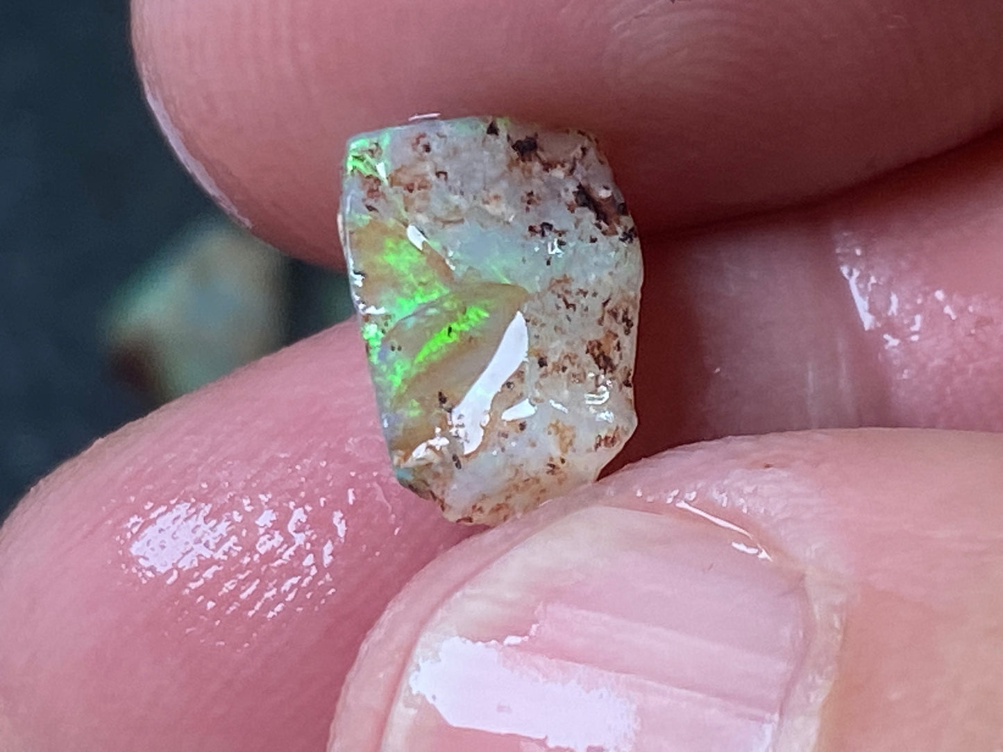 27 Cts Australian Opal Parcel, In The Rough, 8 Small Stones, Rare Lambina