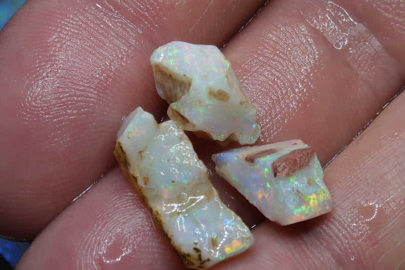 0.5OZ Natural Australian White Opal Parcel, 6 Stones Shaped In The Rough, Coober Pedy - Australian Opal Store