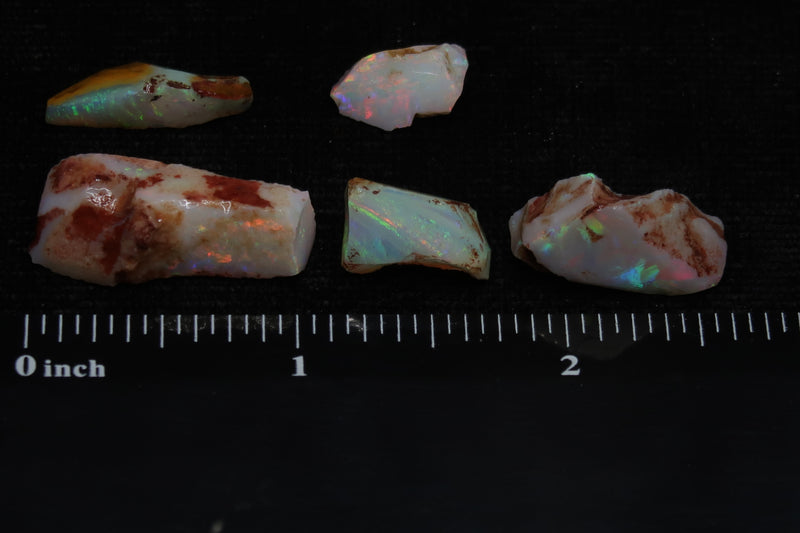 0.2oz, 32Cts Coober Pedy White Opal Parcel, 5 Stones, Shaped In The Rough, A Grade, Brilliant Colors Greens,Blues and Reds. - Australian Opal Store