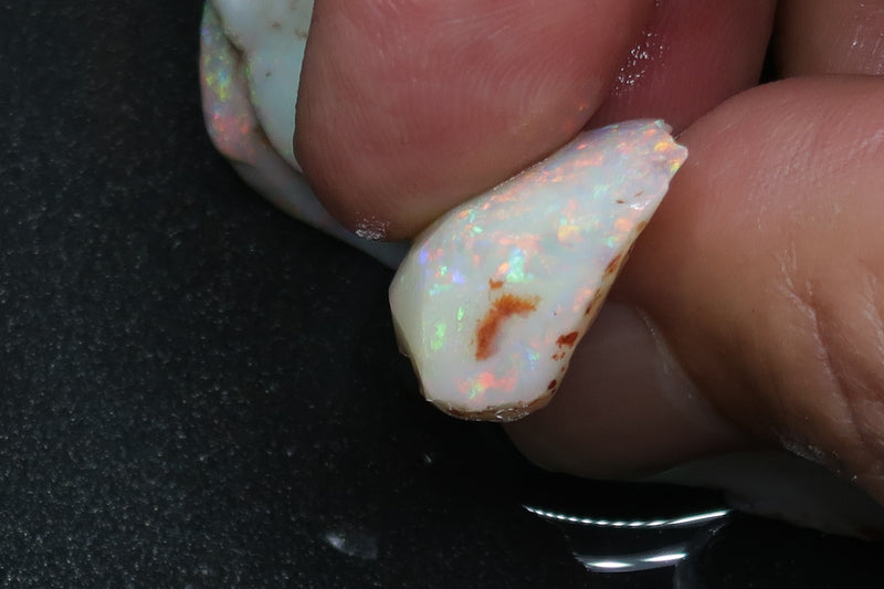 0.8oz Natural Australian Opal Parcel, In The Rough, Shell Patch, Bright Rainbow.