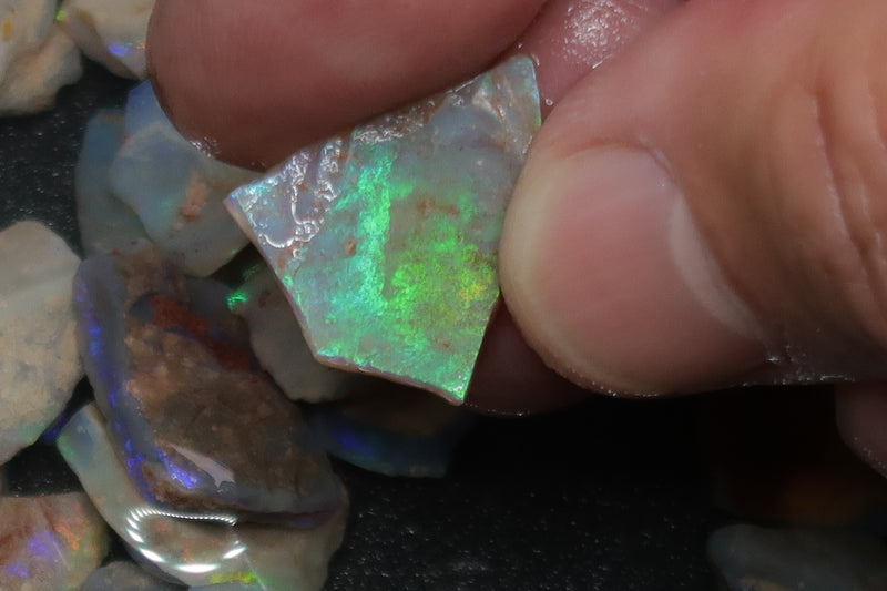 1oz Natural Australian Opal Parcel, Shell Pieces In The Rough, Dark Base