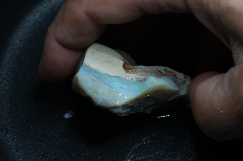 1.6oz Natural Australian Seam Opal Stone, Lightning Ridge, In The Rough, Bright Greens
