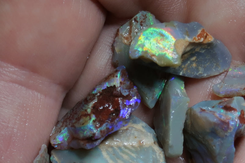 1.2oz, Natural Australian Opal Parcel, Dark Shells In The Rough, Vivid Bright Rainbow Of Colors.