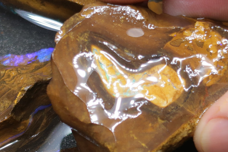 6.5 盎司天然澳大利亚博尔德蛋白石包裹，7 颗原石，紫色和绿色。
