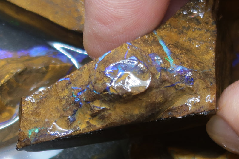 6.5 盎司天然澳大利亚博尔德蛋白石包裹，7 颗原石，紫色和绿色。